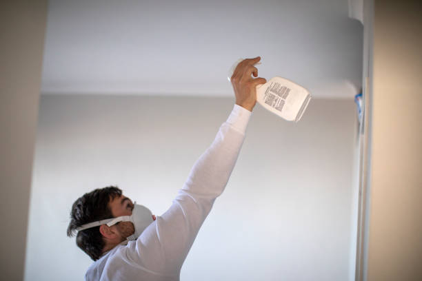 Best Local Mold Removal Service  in Eloy, AZ