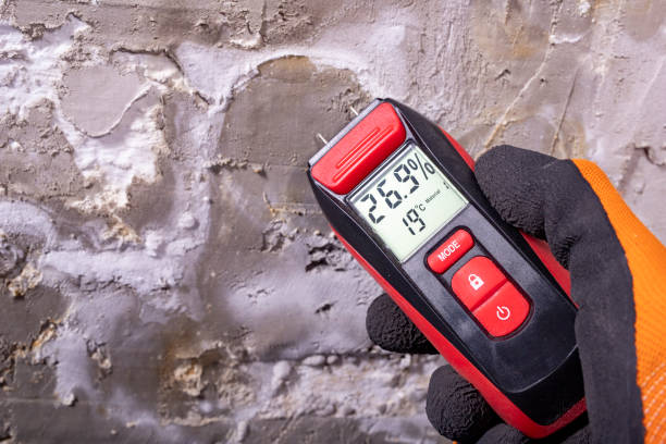 Best Water Damage Restoration  in Eloy, AZ