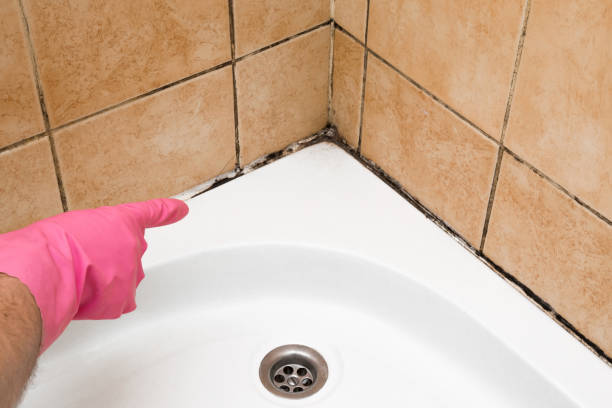 Best Mold Testing  in Eloy, AZ